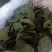 整状无杂质绿柿叶