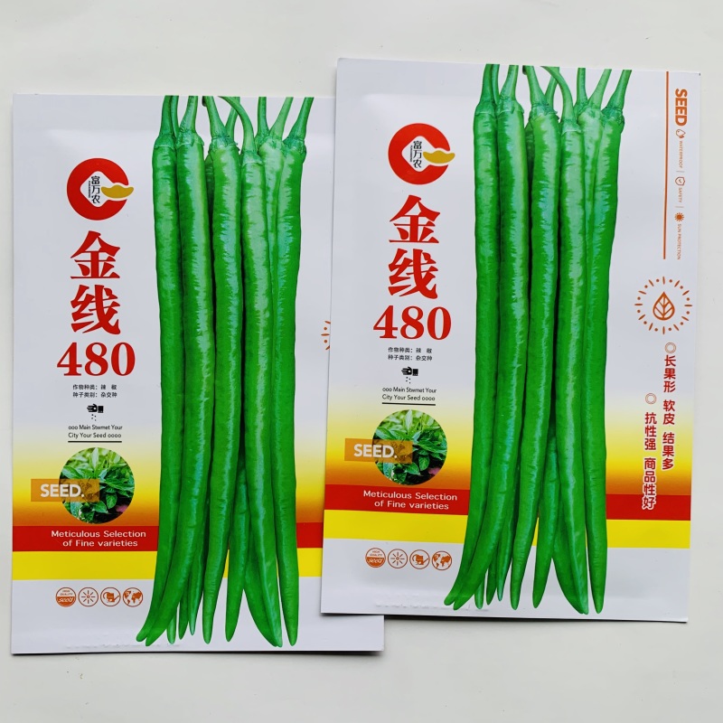 金线480特长线椒种子早熟一代杂交长果软皮线椒种子香辣