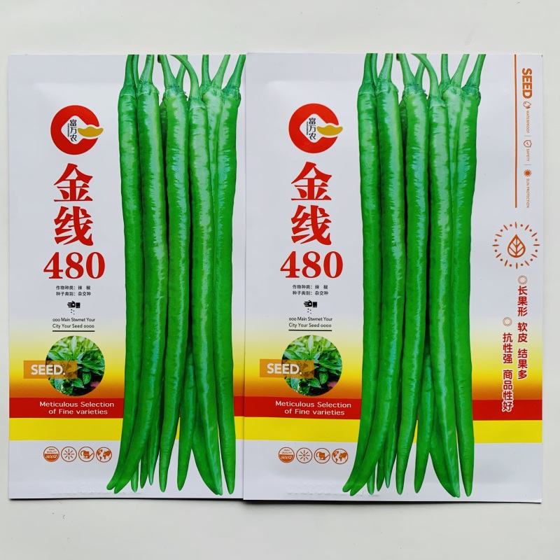 金线480特长线椒种子早熟一代杂交长果软皮线椒种子香辣