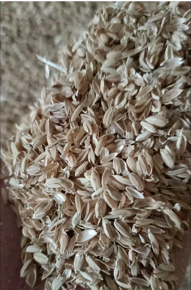 压缩稻壳，垫圈优品，无土无石，过风过筛，除尘