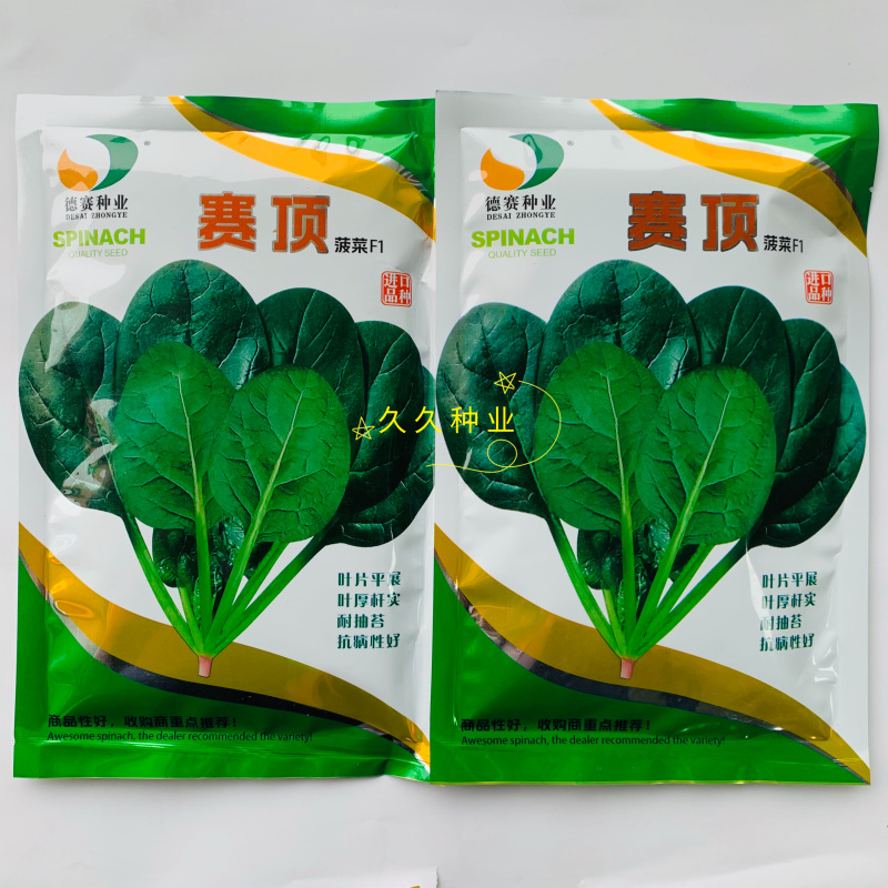 赛顶菠菜种子春秋型深绿色杂交菠菜籽卵圆形叶肉厚耐热耐寒