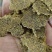 大量现货菜籽饼，棉籽饼，可上地，可养殖有意向老板前来洽谈！