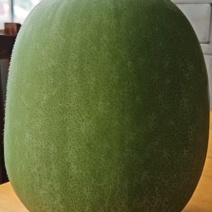 广西香芋冬瓜瓜大量供应