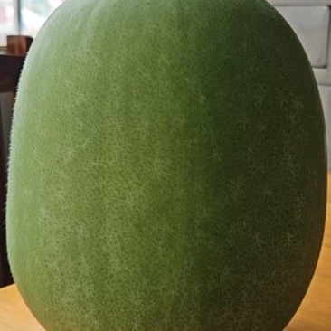 广西香芋冬瓜瓜大量供应