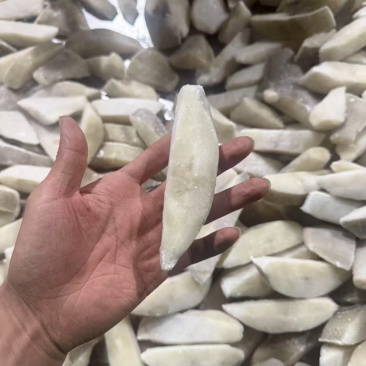 鲽鱼