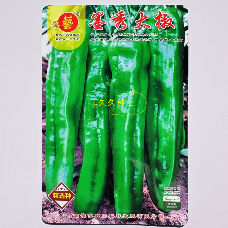 墨秀大椒大果牛角椒种子高产型抗病能力强红熟鲜红耐贮运