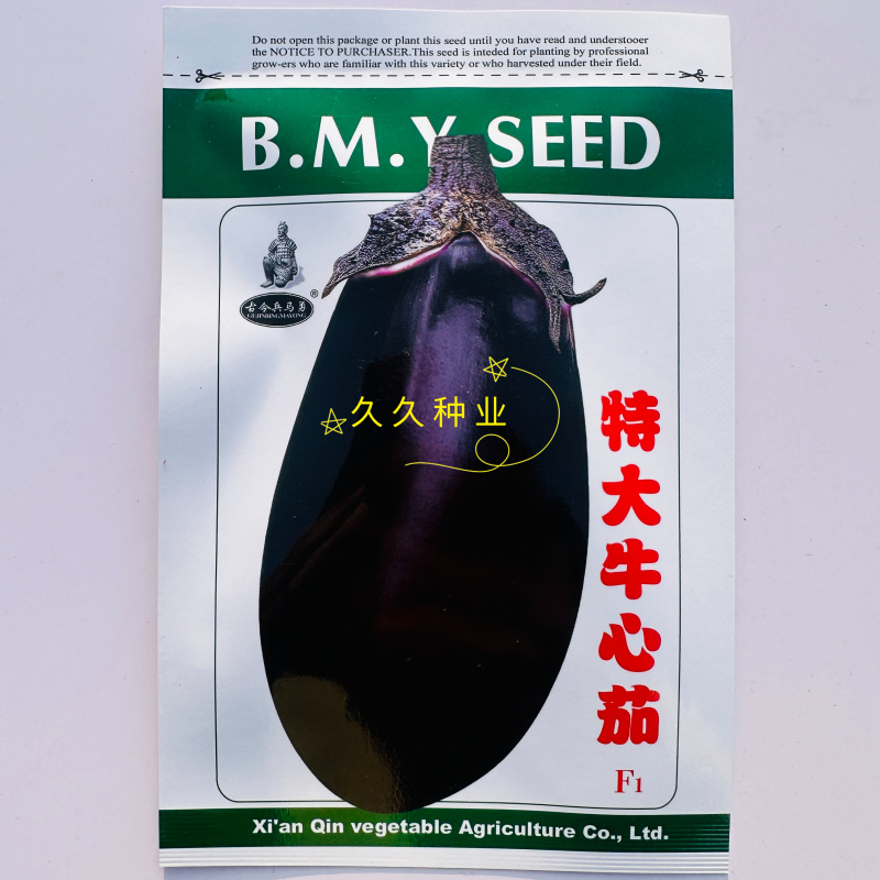 特大牛心茄种子罐茄种籽紫把紫黑色茄子种子高产大面积种
