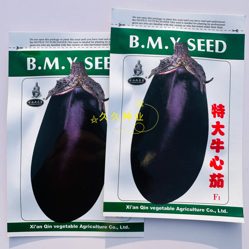 特大牛心茄种子罐茄种籽紫把紫黑色茄子种子高产大面积种