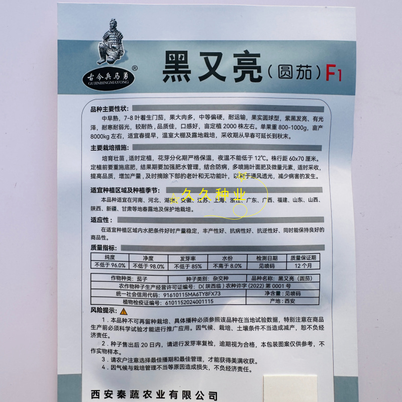 黑又亮圆茄种子高产耐热耐寒黑紫色圆茄孑大田菜院四季茄子种