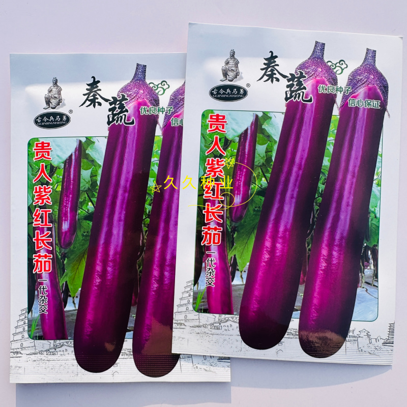 秦蔬贵人紫红长茄茄子种中早熟杂交紫红长茄果型粗长耐贮运