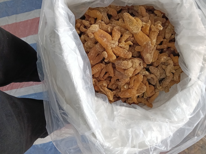 湖南多花甜黄精，原生太无硫***质量保证欢迎咨询