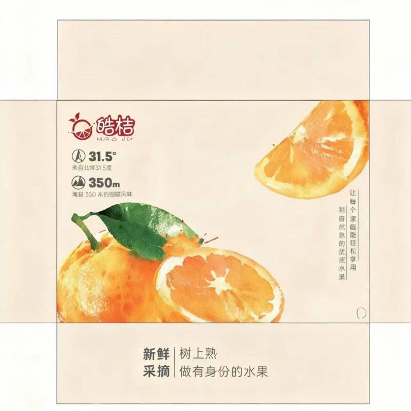 四川阆中爱媛橙13+