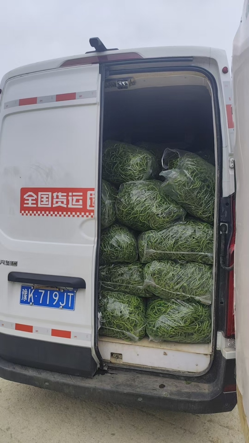 鱼秋辣