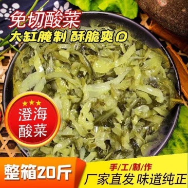 【腌芥菜】澄海酸菜免切酸菜隆江猪脚饭酸菜鱼首先酸菜