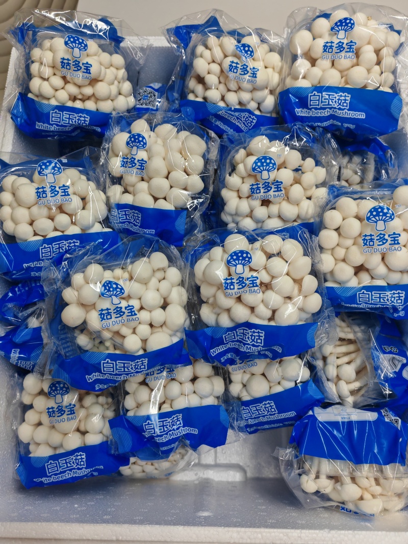 白玉菇125g48宝泡沫箱