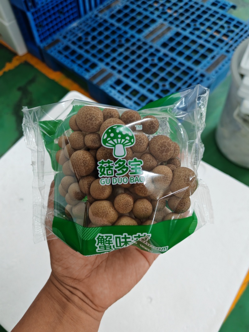 菇多宝蟹味菇