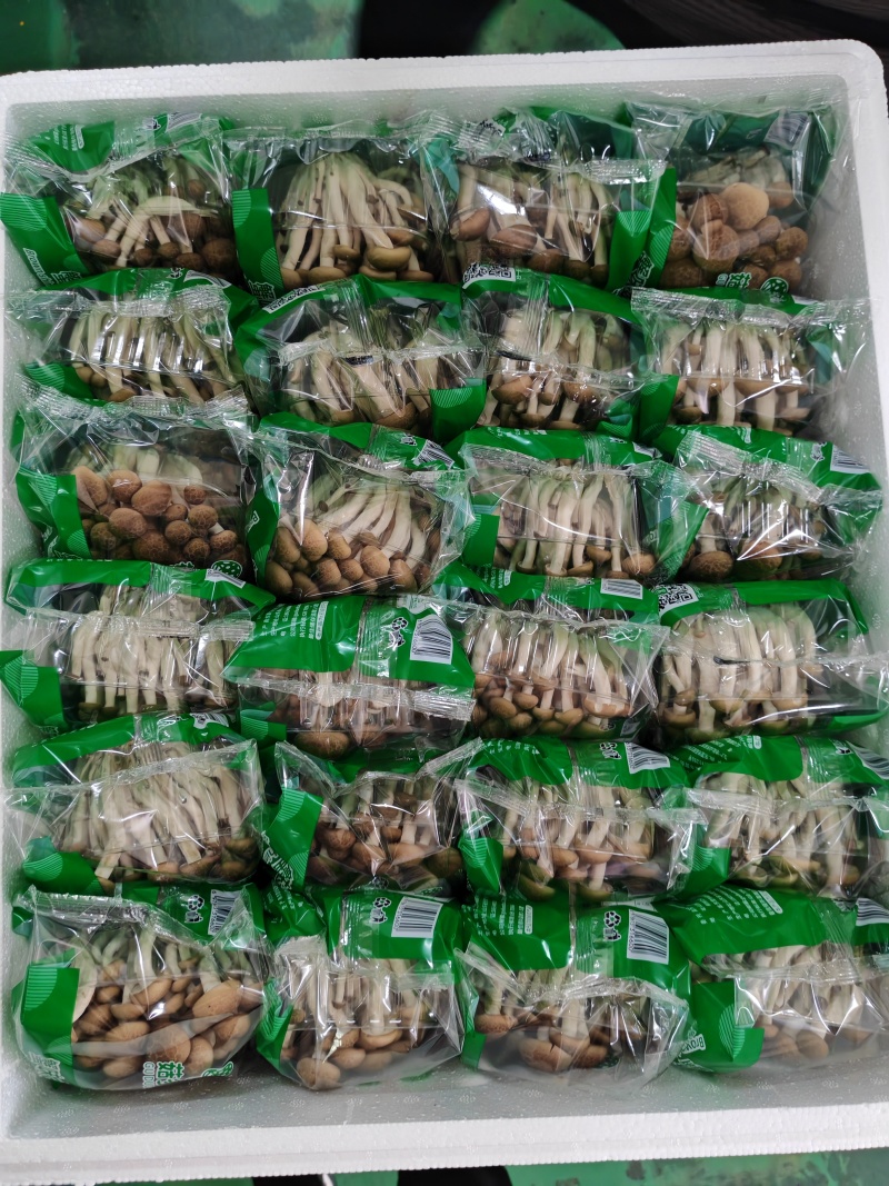 菇多宝蟹味菇