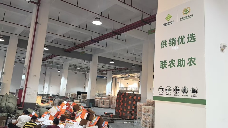 赣南脐橙产地直发一件代发批发零售