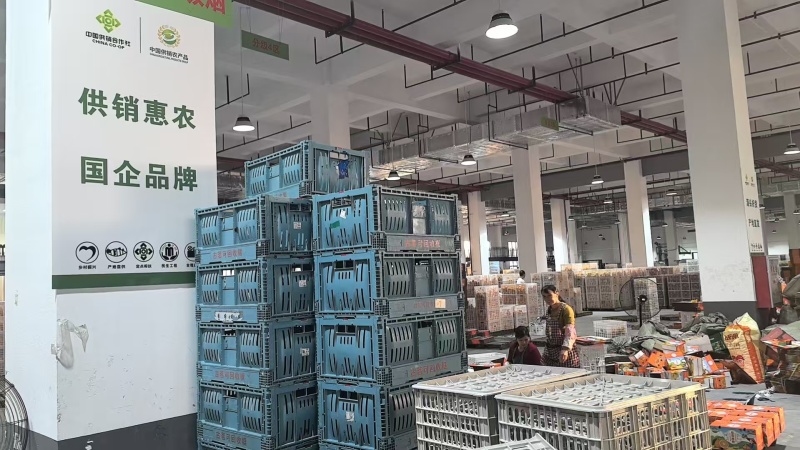 赣南脐橙产地直发一件代发批发零售