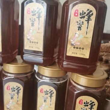 自己野外找的野生老巢蜜紧有几十斤
