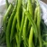 精品线椒，泡椒，苏椒