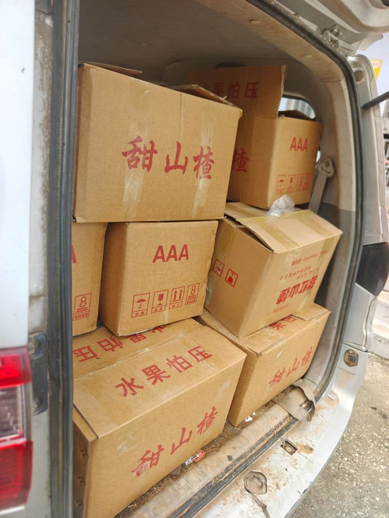山东新泰市甜红子山楂/品相好/产地发货/量大价优/