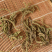 包邮）野生中药材车前草500g新货天然无硫车前草茶