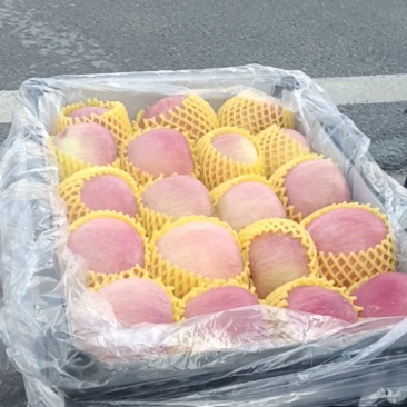 精品中大苹果