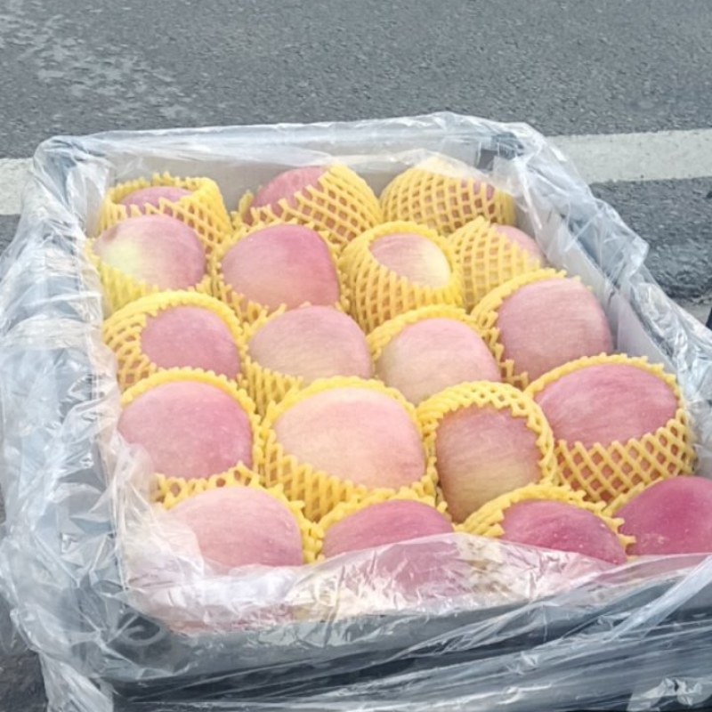 精品中大苹果