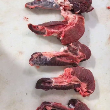 牛鞭瘦肉