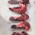 牛鞭瘦肉