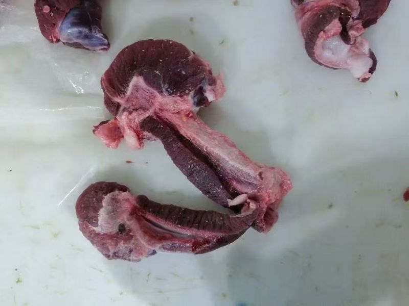 牛鞭瘦肉