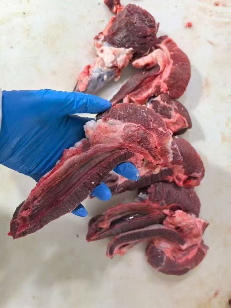 牛鞭瘦肉