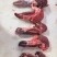 牛鞭瘦肉
