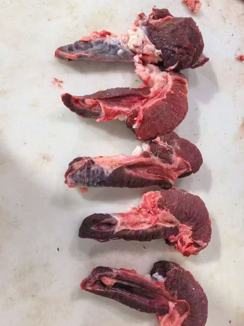 牛鞭瘦肉