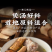 包邮）广西新鲜土茯苓500g中药材干货正宗精选土茯苓可搭