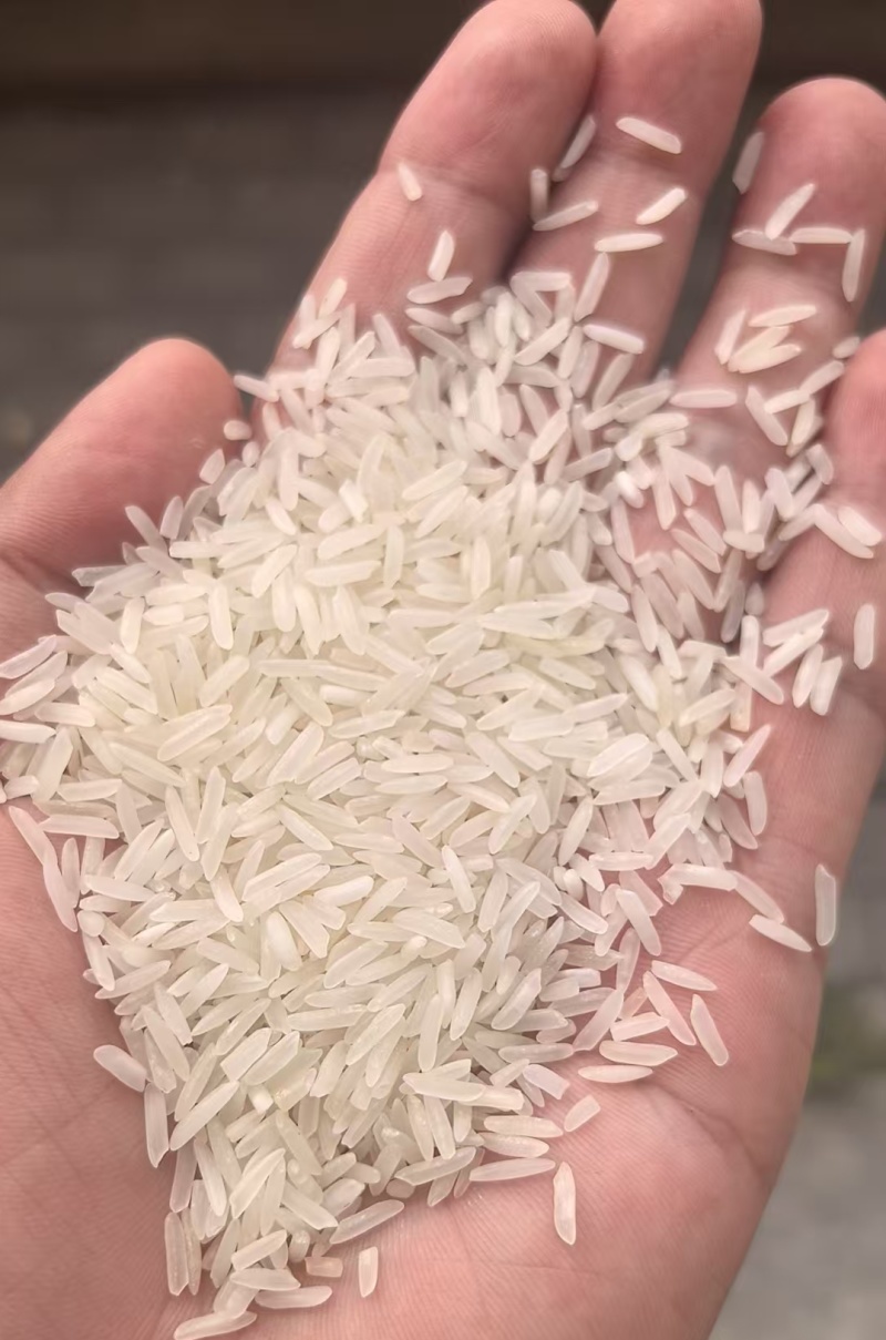 煲仔饭专用米，高档炒饭专用米