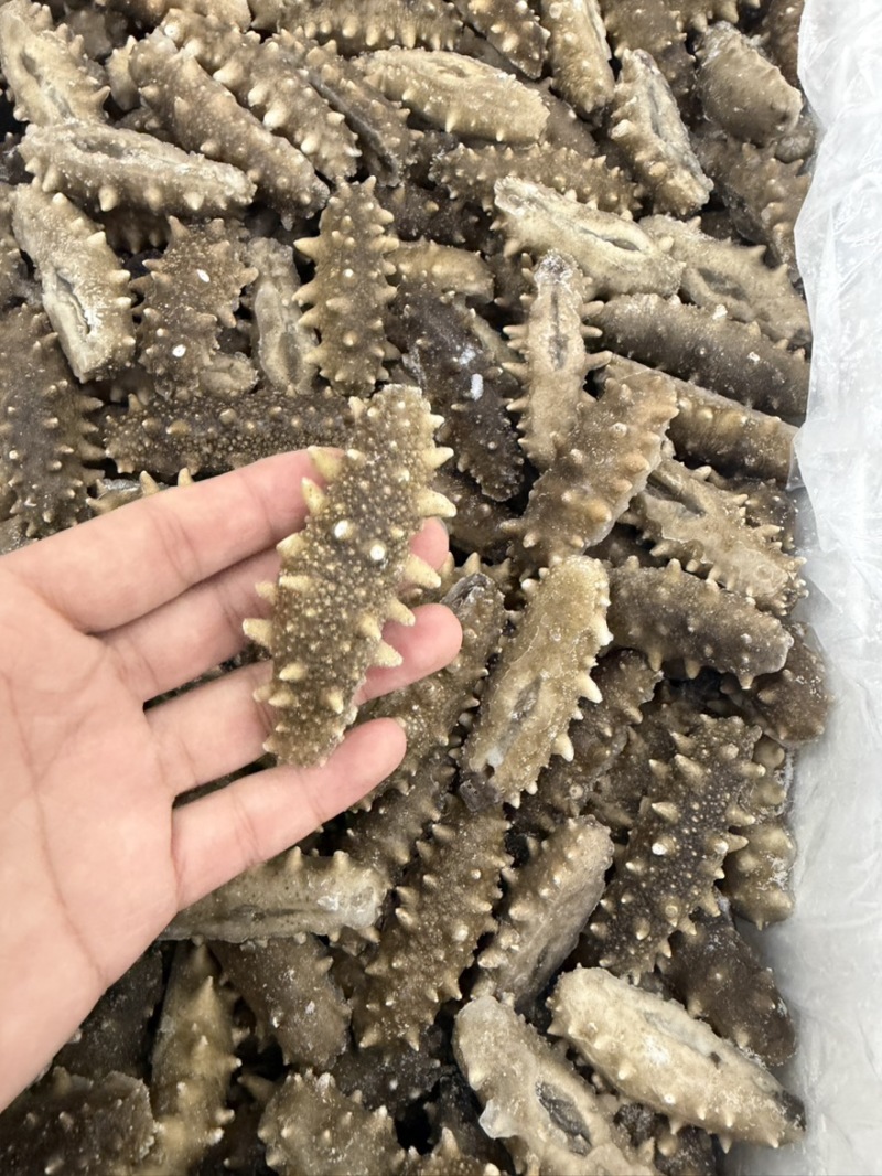 20头左右的大连鲜食口感的海参