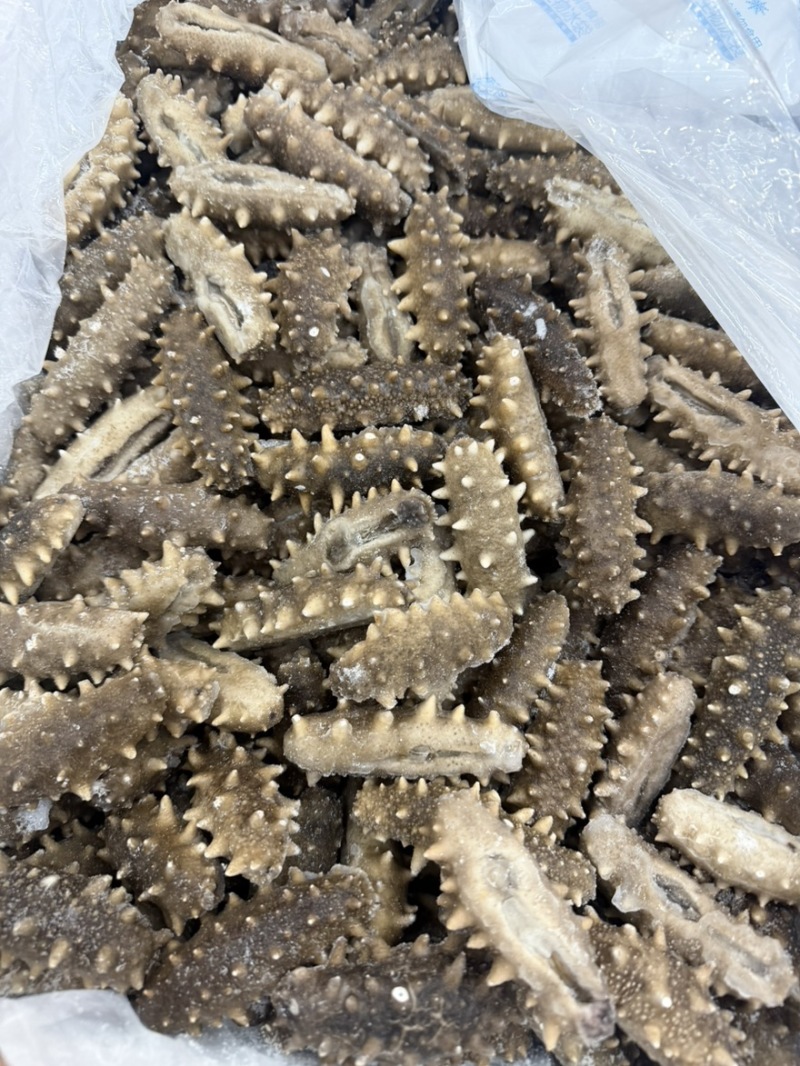20头左右的大连鲜食口感的海参