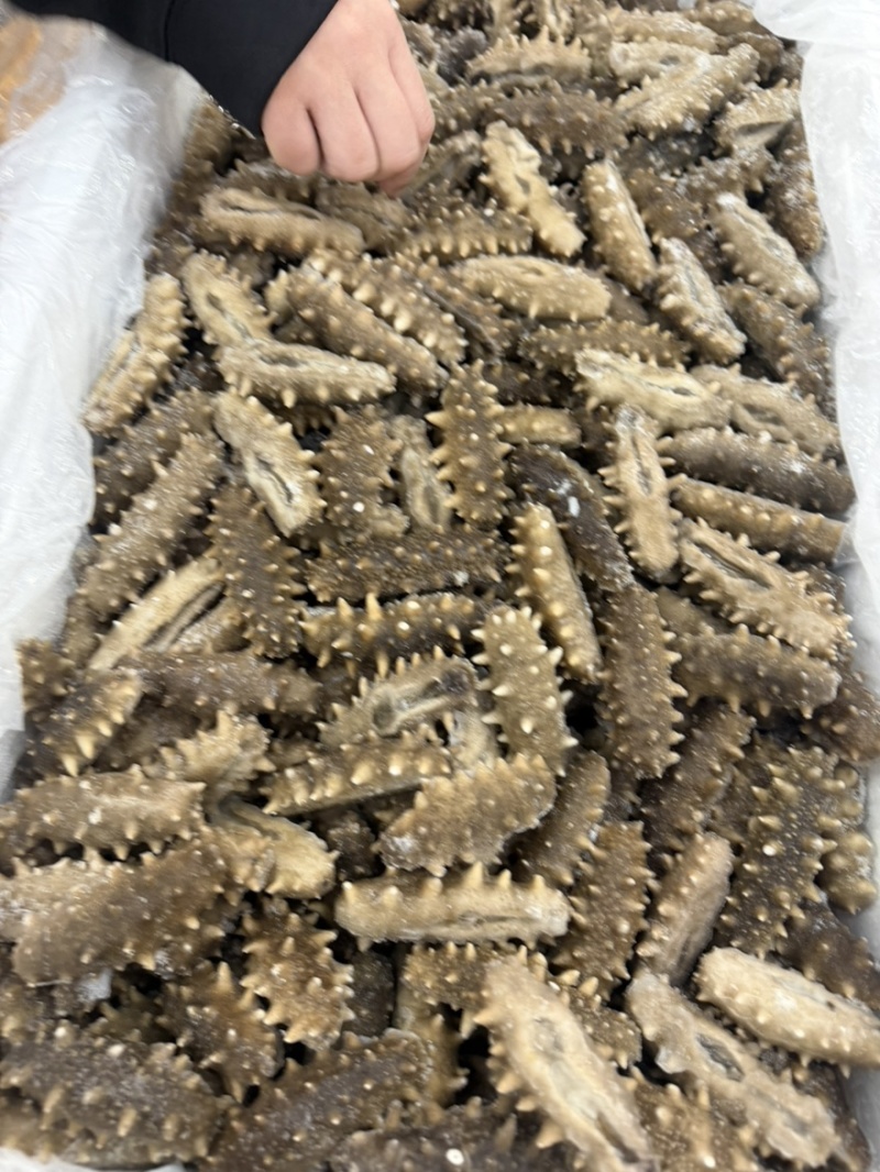 20头左右的大连鲜食口感的海参