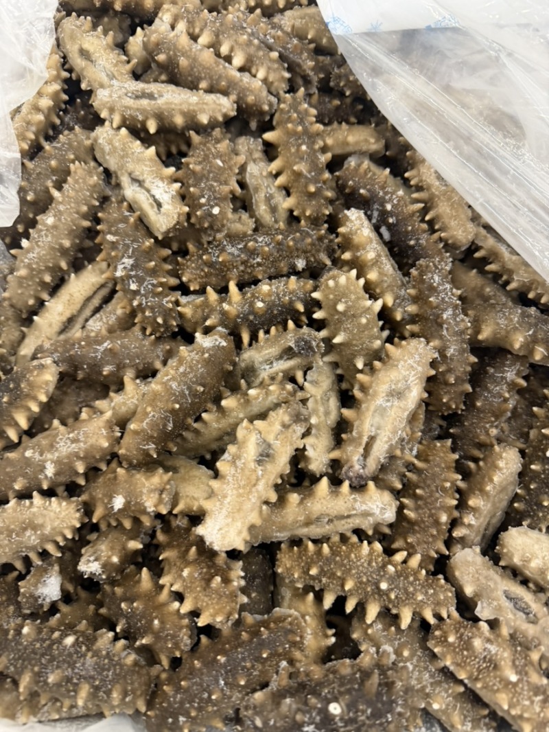 20头左右的大连鲜食口感的海参