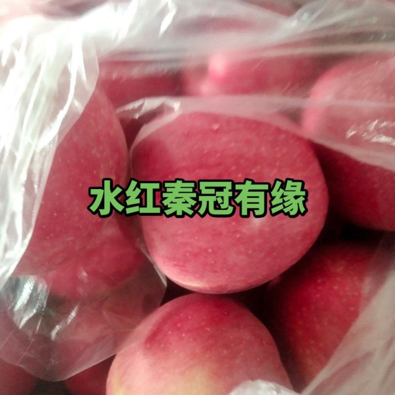 水红秦