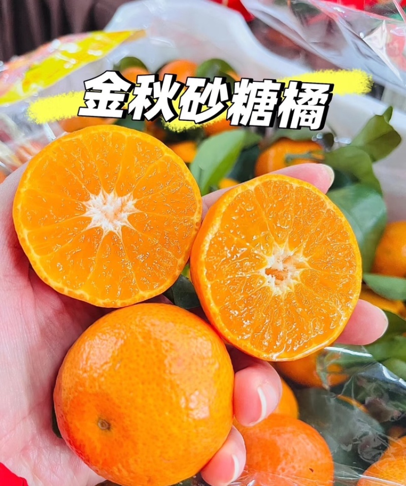 广西砂糖橘沃柑柑桔类，对接外贸供市场电商社区团购