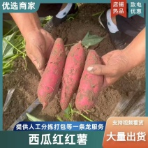 精品西瓜红蜜薯内蒙产地直供现货现发对接市场电商