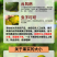 【广东特色产区】茶枝柑、陈皮柑、新会柑陈皮