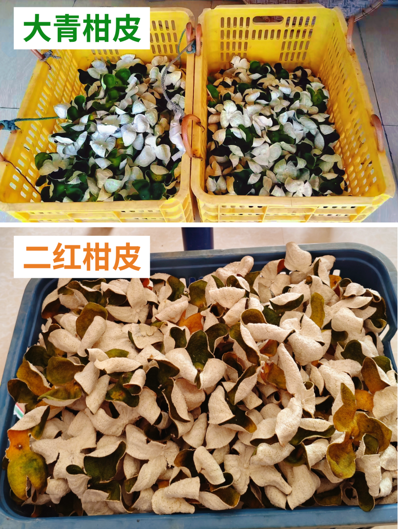 【广东特色产区】茶枝柑、陈皮柑、新会柑陈皮