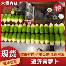 长期稳定供应开封通许青萝卜，基地直供品质稳定，支持全国整