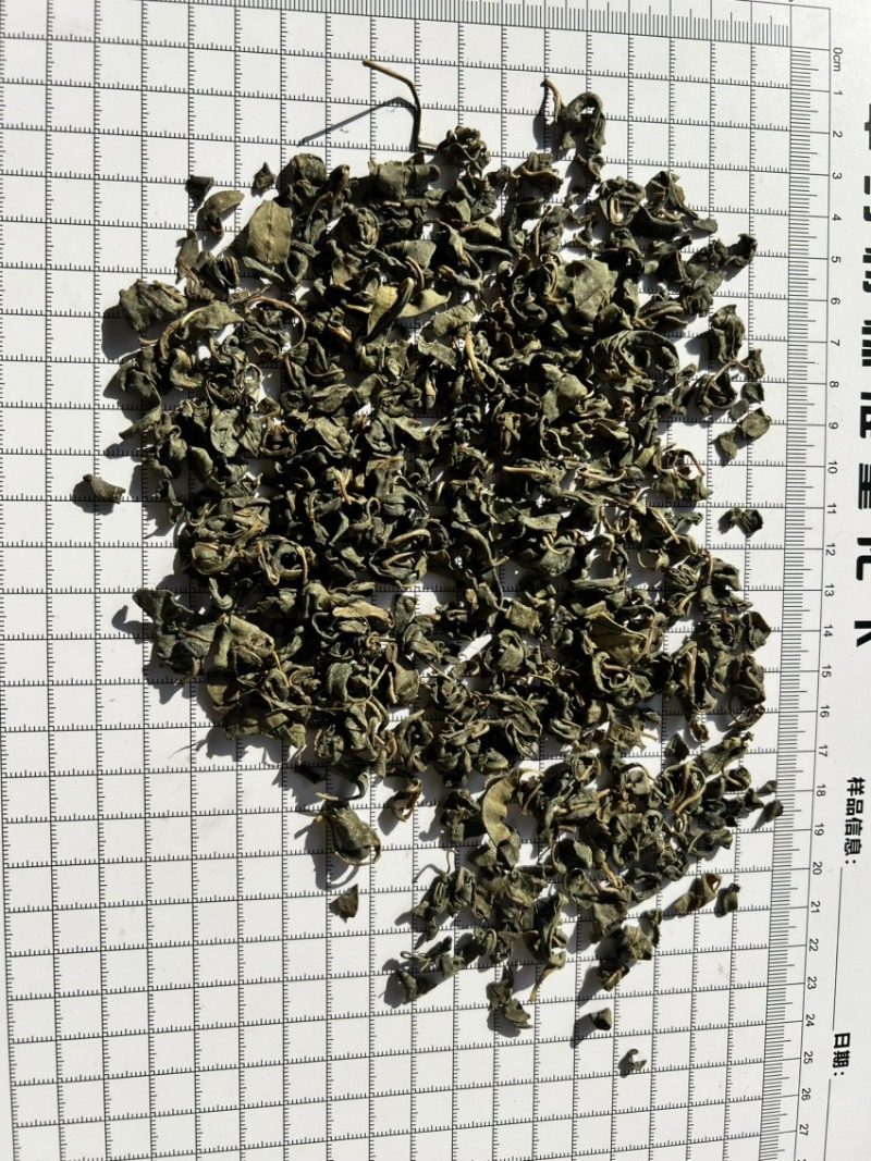 罗布麻茶大货批发
