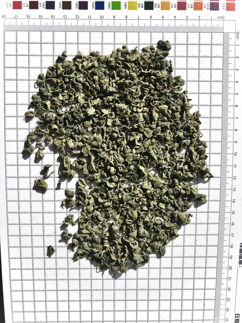 罗布麻茶大货批发