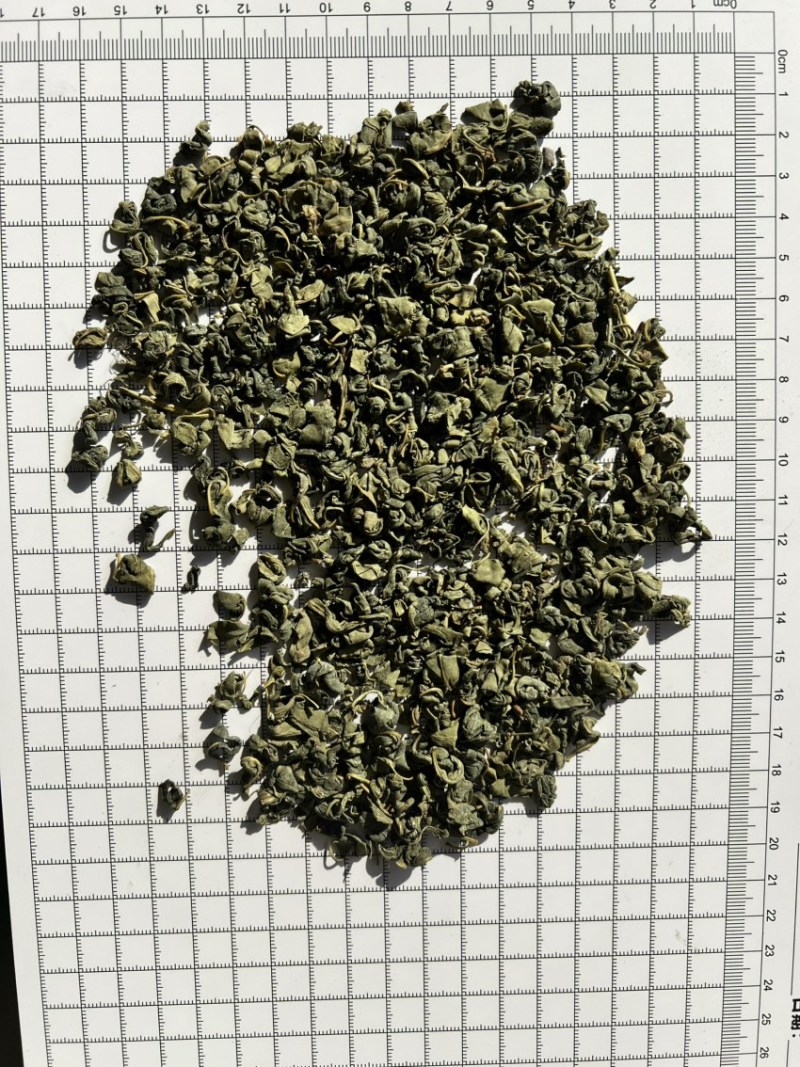 罗布麻茶大货批发